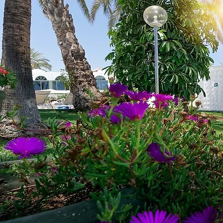 Parque Del Paraiso Ii