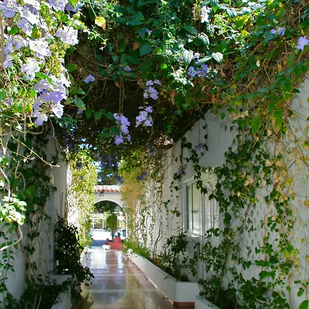 Parque Del Paraiso Ii