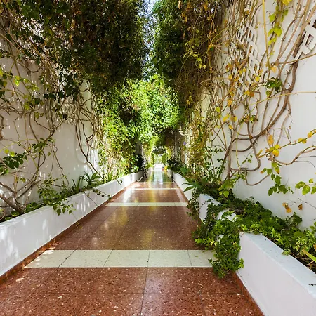 Parque Del Paraiso Ii