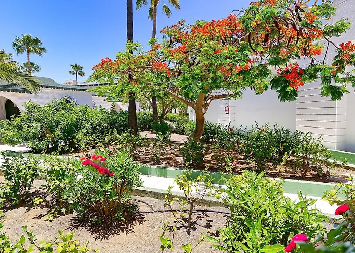 Parque Del Paraiso Ii