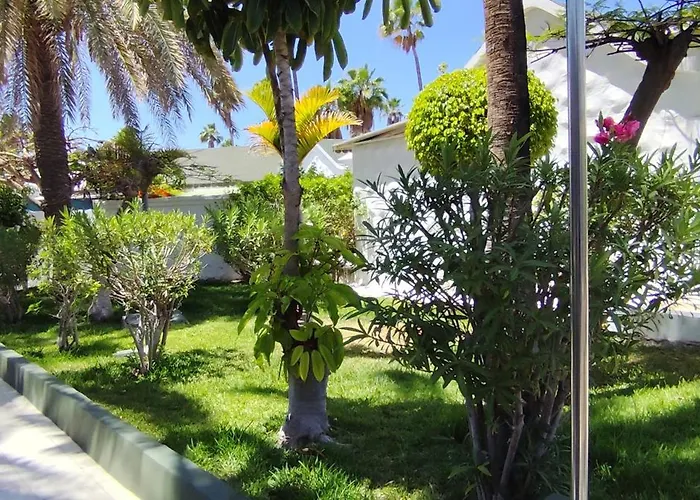 Parque Del Paraiso Ii