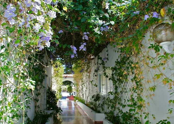 Parque Del Paraiso Ii