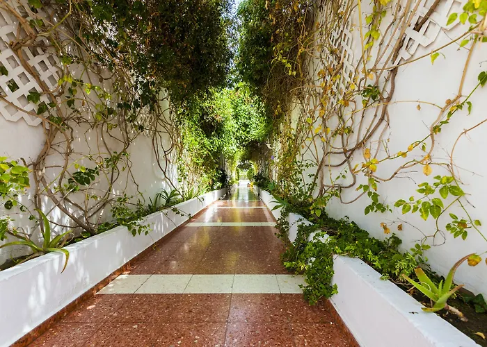 Parque Del Paraiso Ii