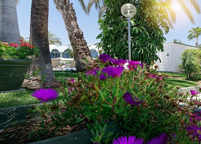 Parque Del Paraiso Ii