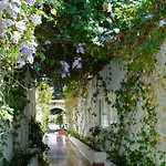 Parque Del Paraiso Ii
