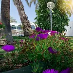Parque Del Paraiso Ii