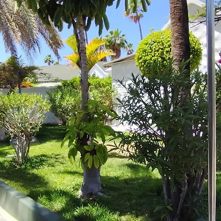 Parque Del Paraiso Ii